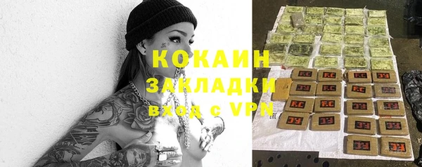 дурь Богданович