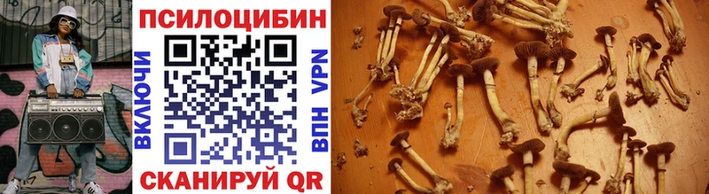 Галлюциногенные грибы мицелий  Большой Камень 